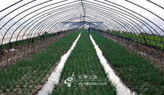 湖州30 农产品搬到上海餐桌 年供沪额50亿